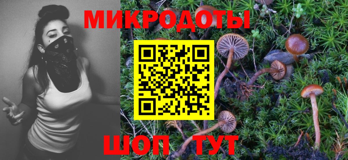 Псилоцибиновые грибы Magic Shrooms Новозыбков