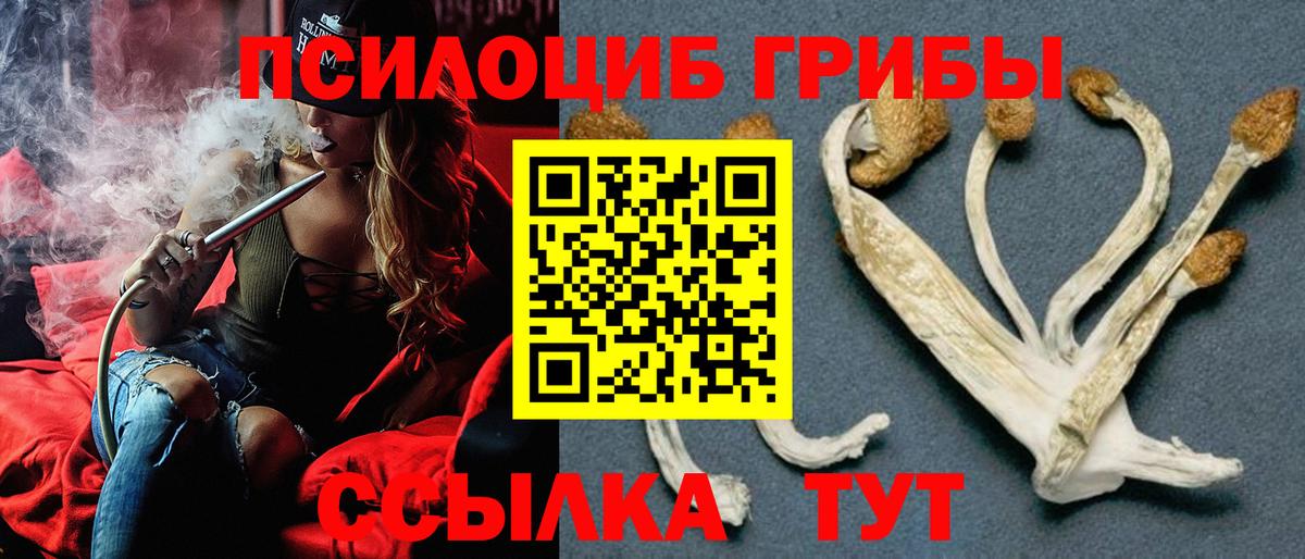 Псилоцибиновые грибы Magic Shrooms  Псилоцибиновые грибы MAGIC MUSHROOMS  магазин  наркотиков  Новозыбков  Вход с VPN 